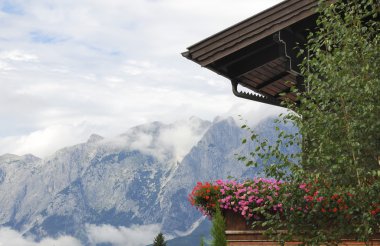 balkon çiçekleri