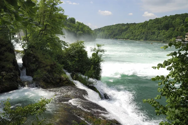 stock image Rhine Falls