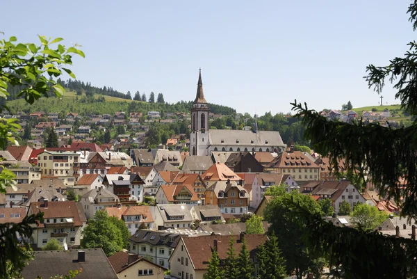 Village in the Black Forest — Stock Photo, Image