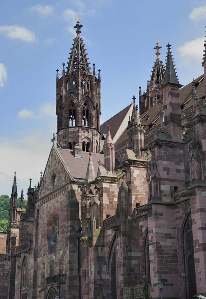 Katedra we Fryburgu — Zdjęcie stockowe