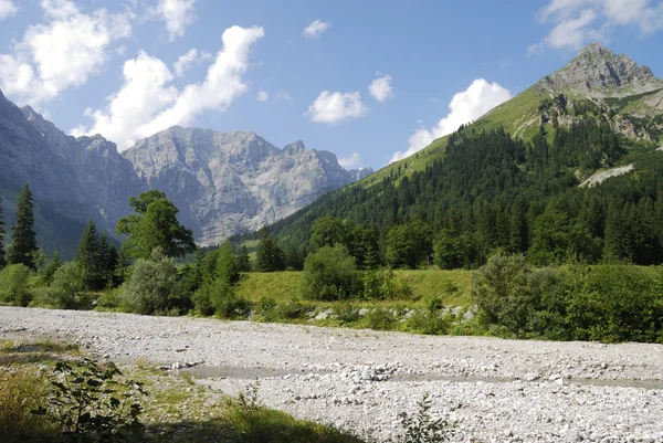 Alpine rivierbedding — Stockfoto
