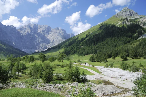 Zomer in de Alpen — Stockfoto