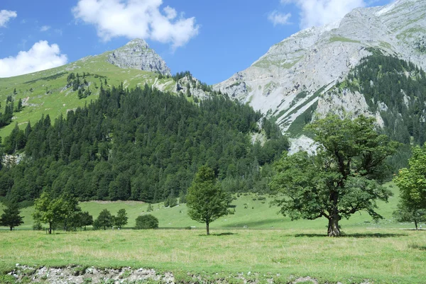 Alpy w Tyrolu — Zdjęcie stockowe
