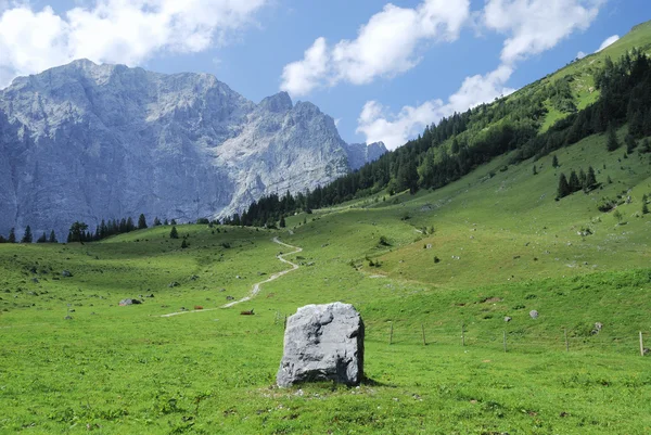 Alpine bergarter – stockfoto