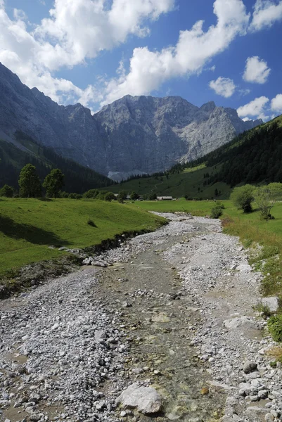 Alpines Flussbett — Stockfoto