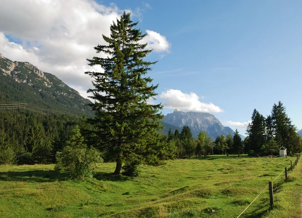 Alp pastwiska — Zdjęcie stockowe