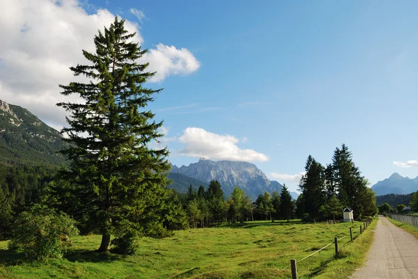 Alp pastwiska — Zdjęcie stockowe