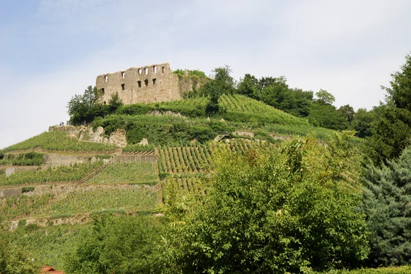 Castelo em uma vinha — Fotografia de Stock