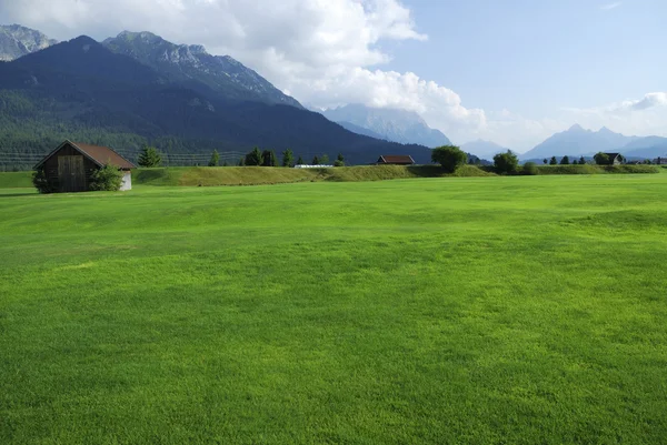 Alpine golf green — Stock Photo, Image