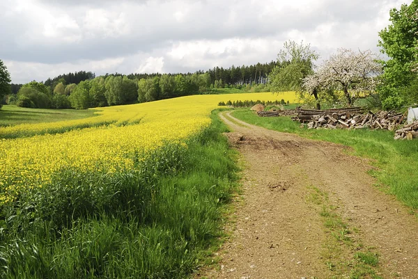 Stock image Rural spring scenic