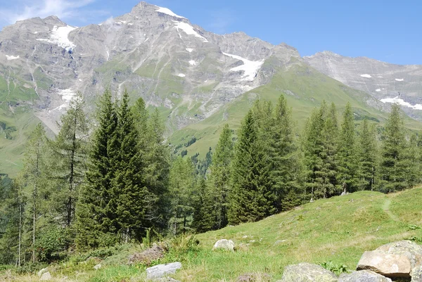 Osztrák Alpokban — Stock Fotó