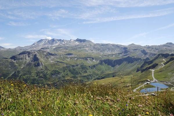 Blumenwiese in den Alpen — Stockfoto