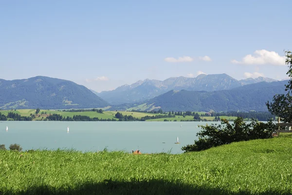 Lago nelle Alpi — Foto Stock