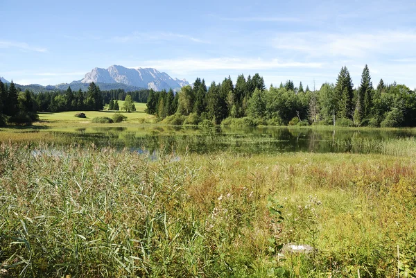 阿尔卑斯山中的湖泊 — 图库照片