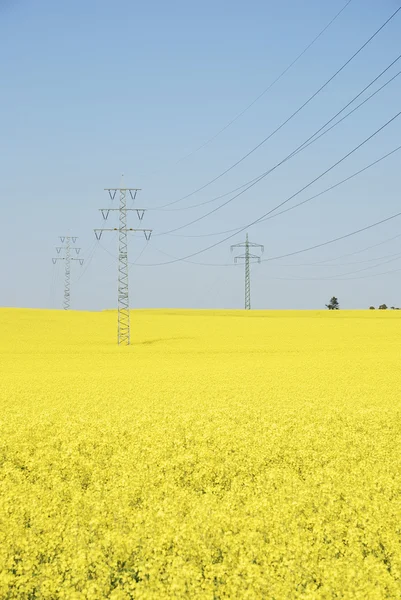 stock image Power line