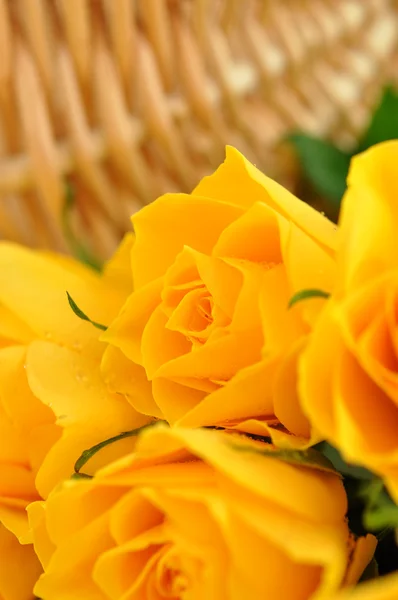 Sárga rózsa csokor — Stock Fotó