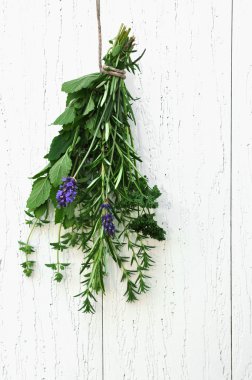 Bunch of Fresh Herbs clipart