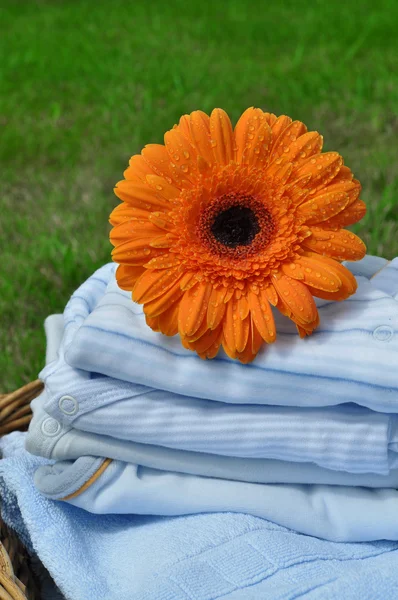 Wet Flower on Blue Baby Clothes — Stock Photo, Image