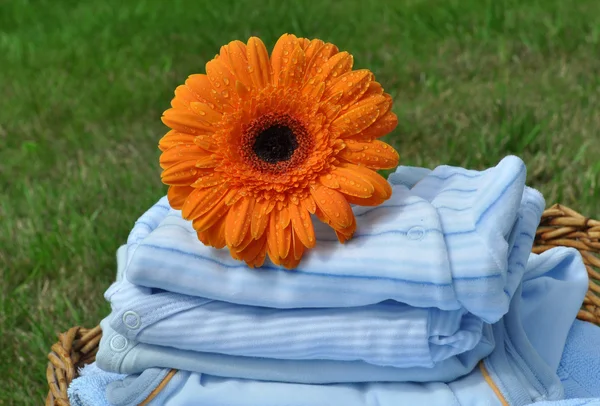 Flor molhada em roupas de bebê azul — Fotografia de Stock
