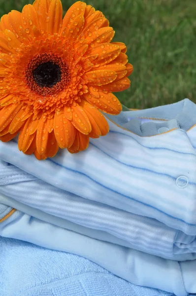 Flor molhada em roupas de bebê azul — Fotografia de Stock