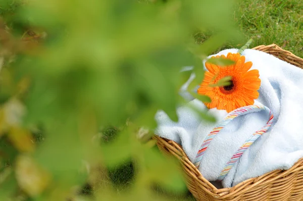 Flor molhada em cobertor de bebê azul — Fotografia de Stock