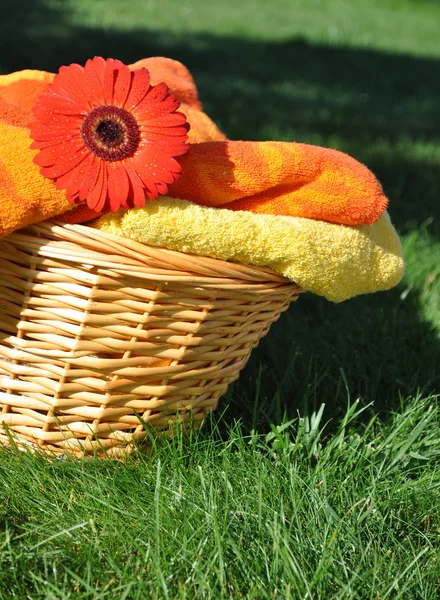 Våt blomma på mjuka handdukar — Stockfoto
