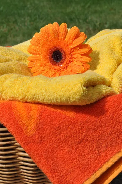 Świeże ręczniki — Zdjęcie stockowe