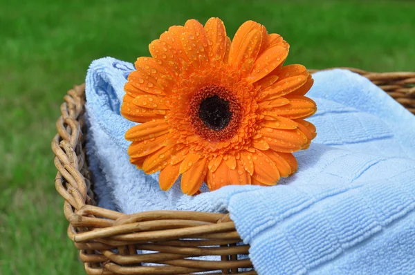 Nasse Blume auf weichen Handtüchern — Stockfoto