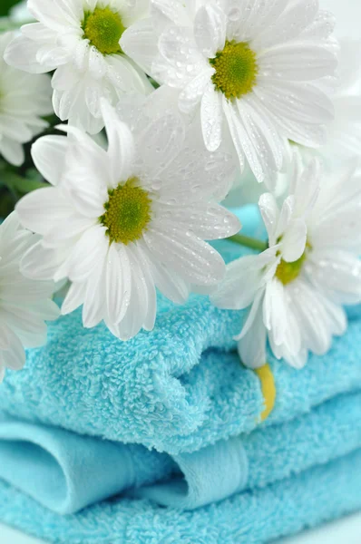 Asciugamano fresco — Foto Stock