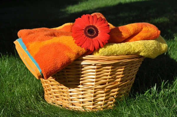 Fiore bagnato su asciugamani morbidi — Foto Stock