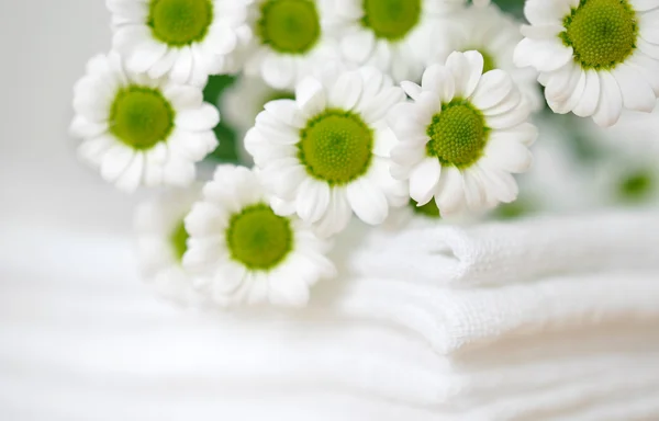 하얀 세탁 — 스톡 사진