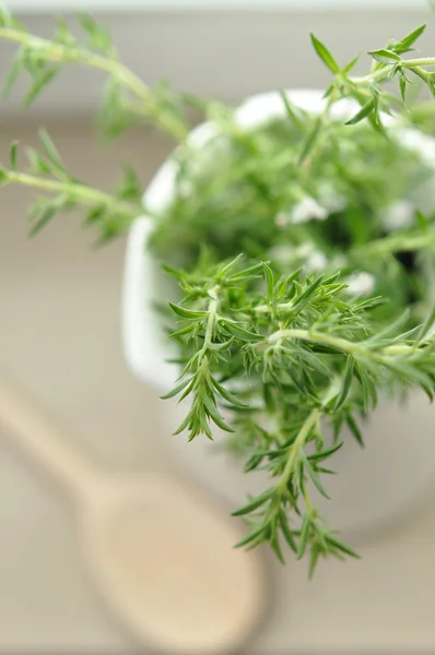 Świeże zioła w kuchni — Zdjęcie stockowe