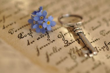 Key and Forget-me-not clipart