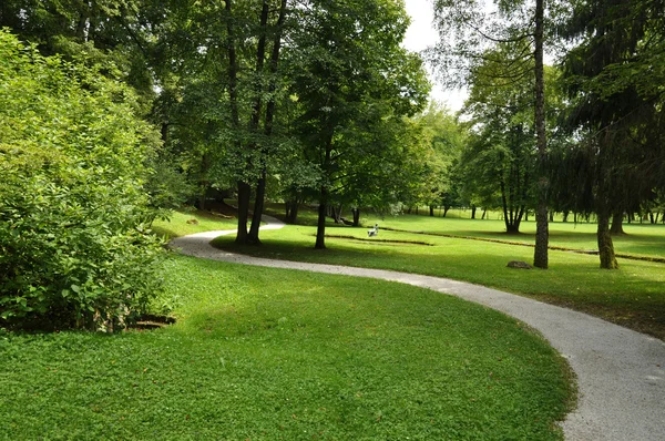 Path in the Park — Stock Photo, Image