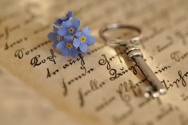 Key and Forget-me-not — Stock Photo, Image