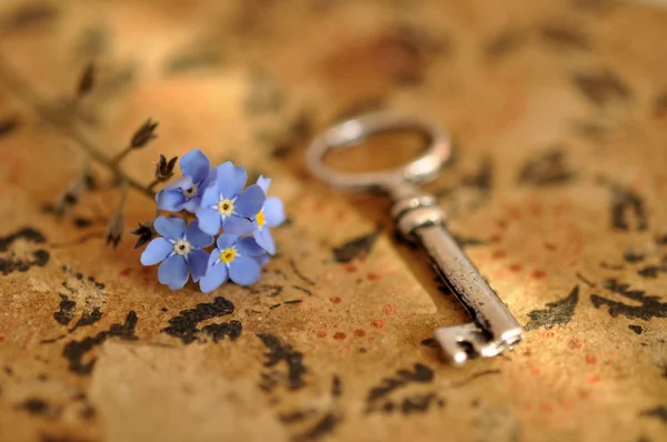 Key and Forget-me-not — Stock Photo, Image