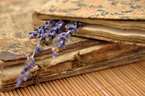 Lavendel auf alten Büchern — Stockfoto
