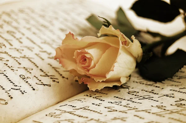 Романтическое чтение — стоковое фото