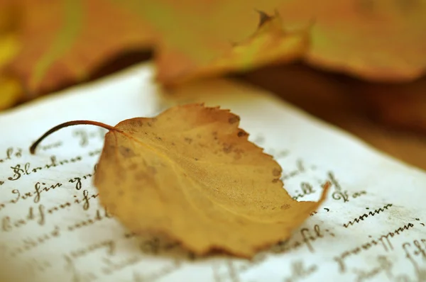 Na podzim listy na deník — Stock fotografie