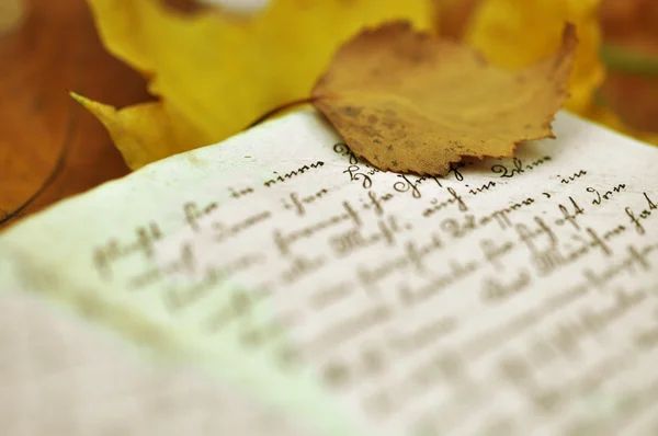 Πέφτουν τα φύλλα στο ημερολόγιο — Φωτογραφία Αρχείου
