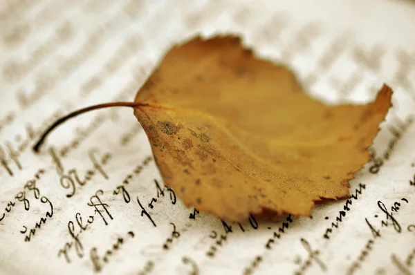 Осенний лист в дневнике — стоковое фото