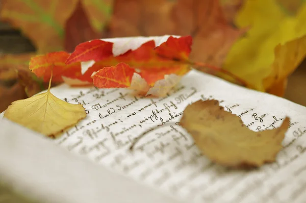 Herbstblätter im Tagebuch — Stockfoto