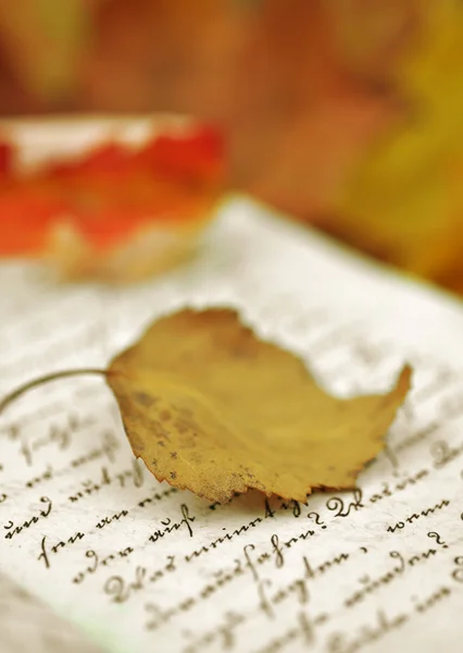 Őszi levelek, a napló — Stock Fotó