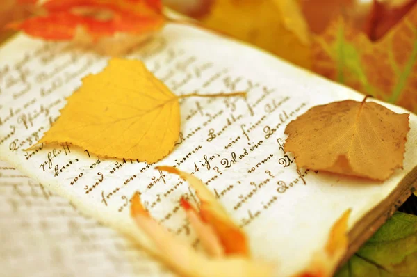Herbstblätter im Tagebuch — Stockfoto