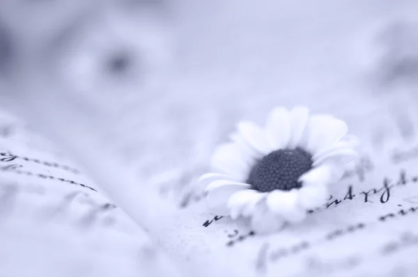 在日记上的小小雏菊 — 图库照片