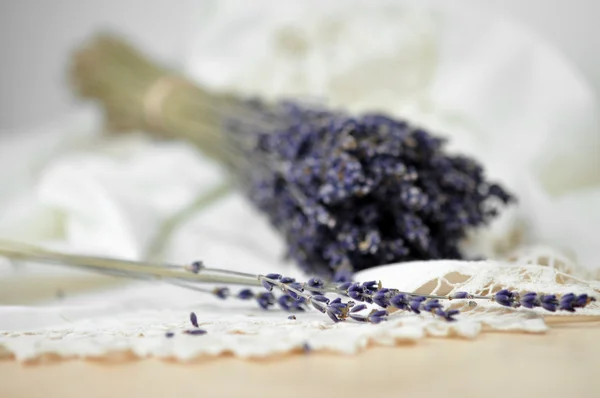 Lavender on Lace — Stock Photo, Image
