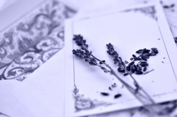 Lavender on Love Letter — Stock Photo, Image