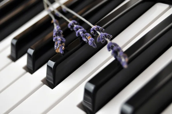 Teclado piano — Fotografia de Stock
