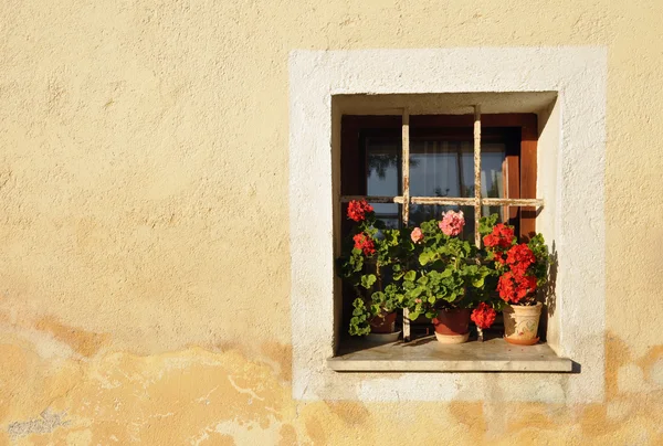 Old Window, Slovenia — Stock Photo, Image