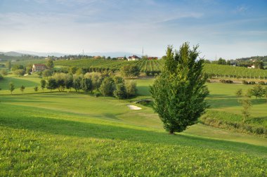 Summer Landscape. Škalce, Slovenia clipart